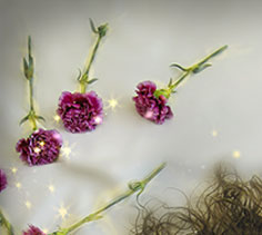 Color with selections