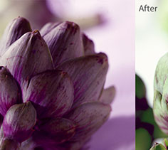 Color with selections