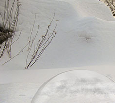 Color with selections