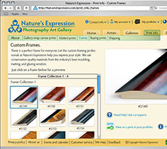 Photography website comp